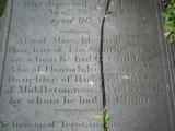 image of grave number 363578